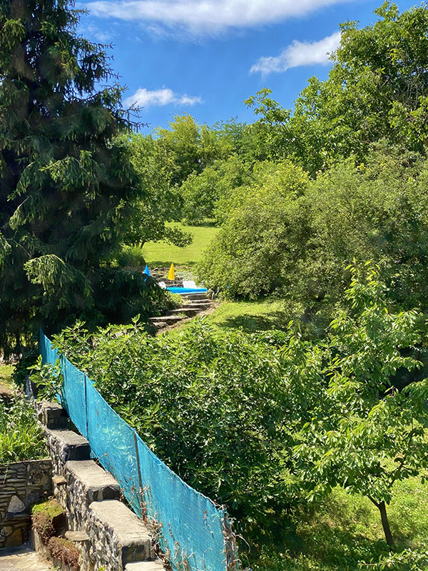 Double Room with Garden View 2