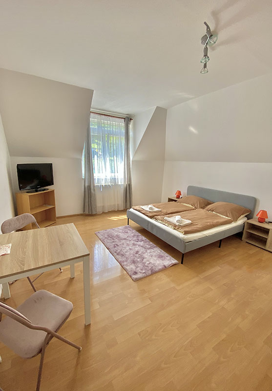 Double Room with Garden View 4