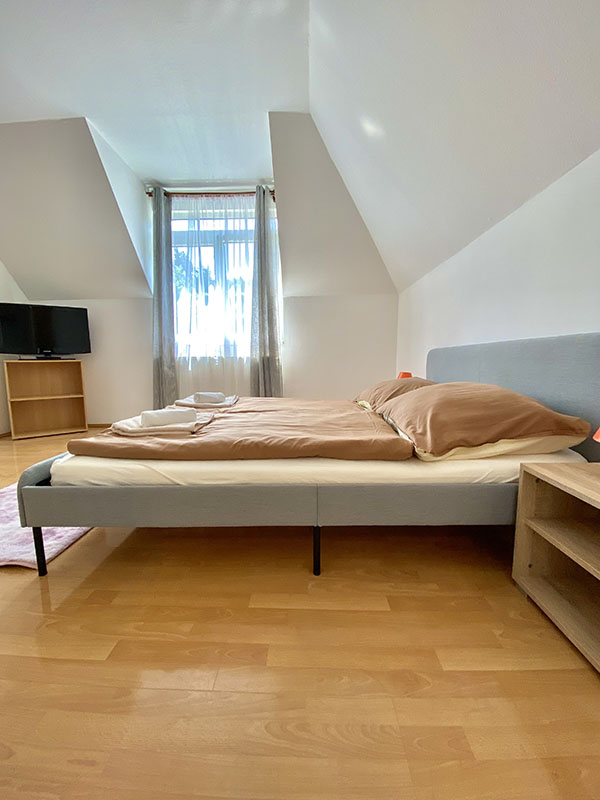 Double Room with Garden View 8