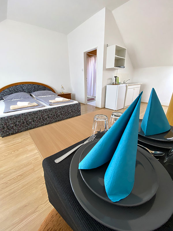 Standard Double Room 5